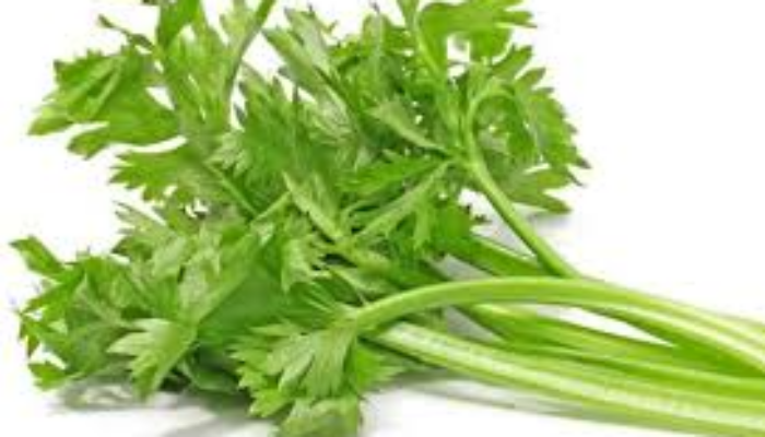 Keajaiban Sayur Seledri dalam Menjaga Tekanan Darah Anda