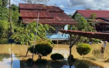 Sungai Kapuas Meluap: Sejumlah Titik di Putussibau Terendam Banjir