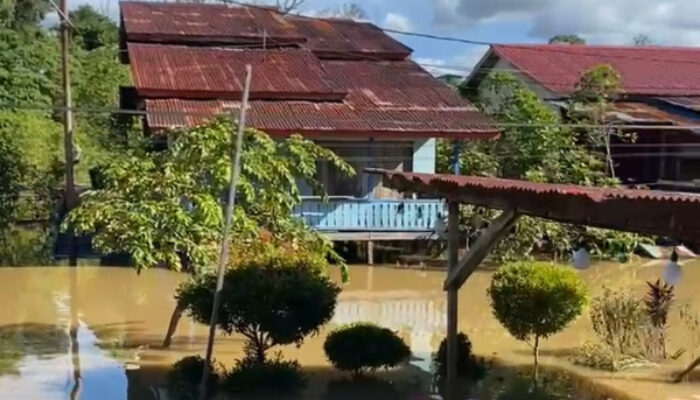 Sungai Kapuas Meluap: Sejumlah Titik di Putussibau Terendam Banjir