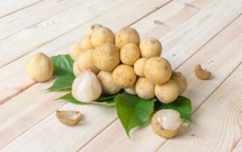 Rahasia Sehat Buah Duku: Keajaiban Tropis yang Wajib Anda Tahu!