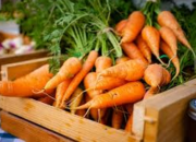 10 Manfaat Sayur Wortel untuk Kesehatan yang Sangat Luar Biasa
