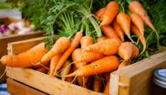 10 Manfaat Sayur Wortel untuk Kesehatan yang Sangat Luar Biasa